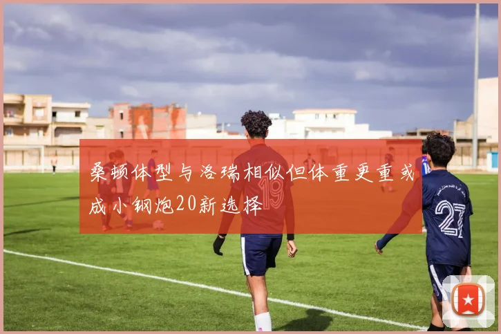 桑顿体型与洛瑞相似但体重更重或成小钢炮20新选择