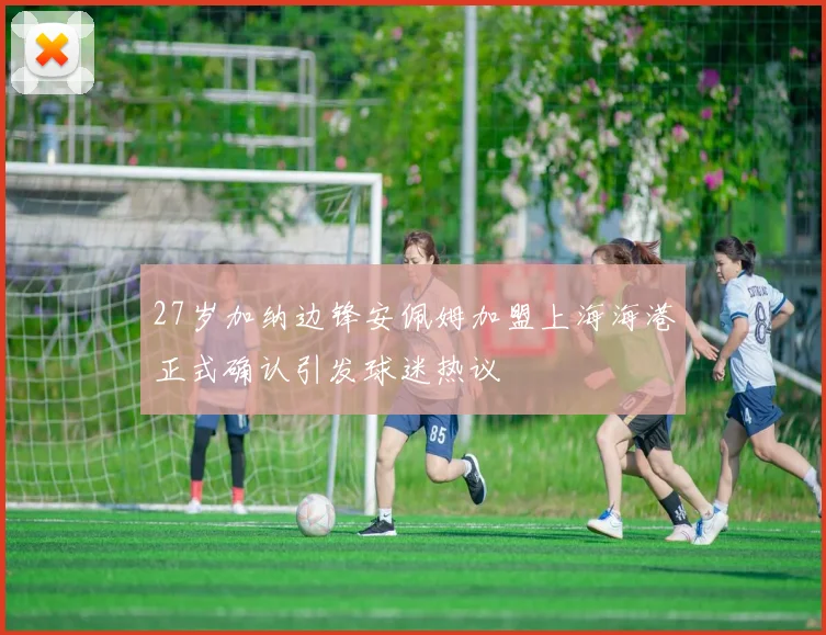 27岁加纳边锋安佩姆加盟上海海港正式确认引发球迷热议