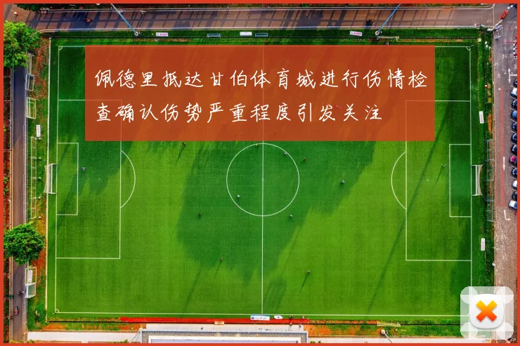 佩德里抵达甘伯体育城进行伤情检查确认伤势严重程度引发关注
