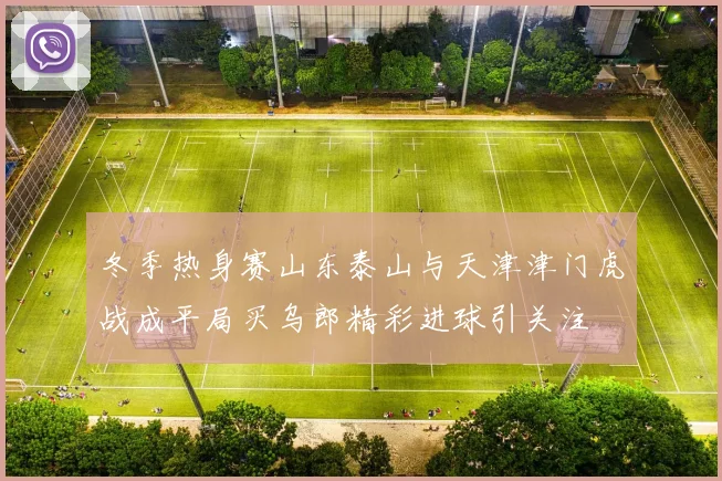 冬季热身赛山东泰山与天津津门虎战成平局买乌郎精彩进球引关注
