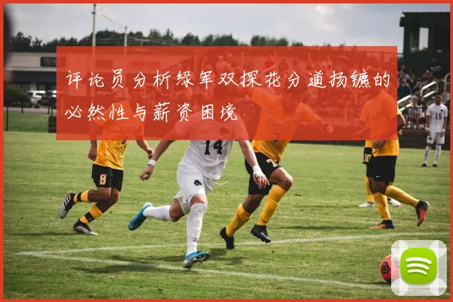 评论员分析绿军双探花分道扬镳的必然性与薪资困境